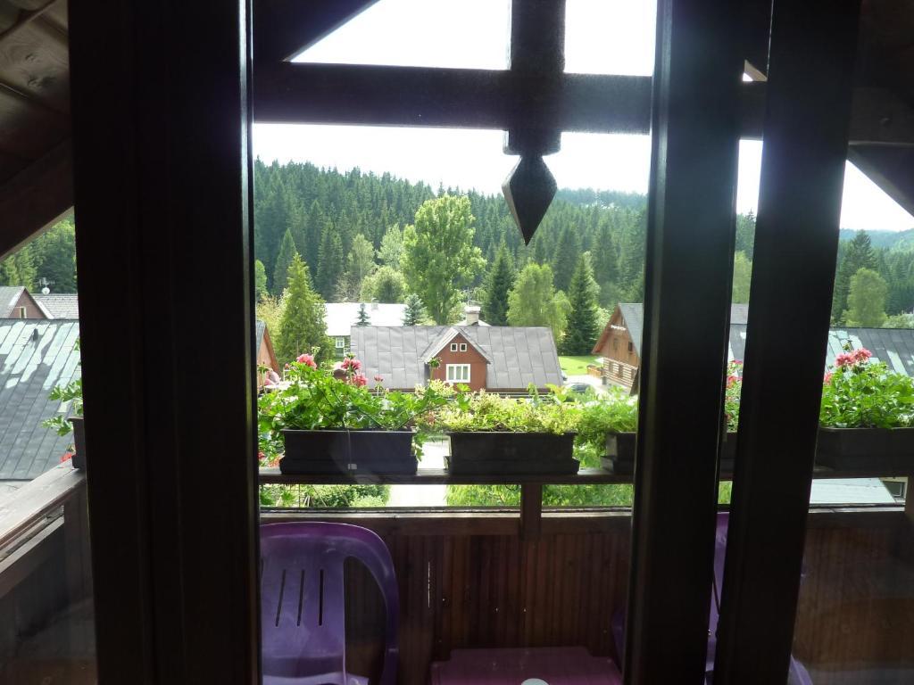 Pension Pretty Harrachov Eksteriør billede